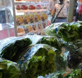 alimentos_wilsondias_abr