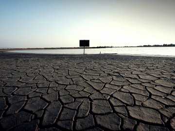 Medida mais eficaz é preservar áreas verdes e praticar o reflorestamento em zonas devastadas.