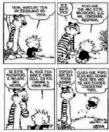 Calvin & Hobbes_Reprodução