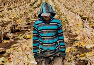 Trabalho escravo [fotografo] Agência Brasil [/fotografo]