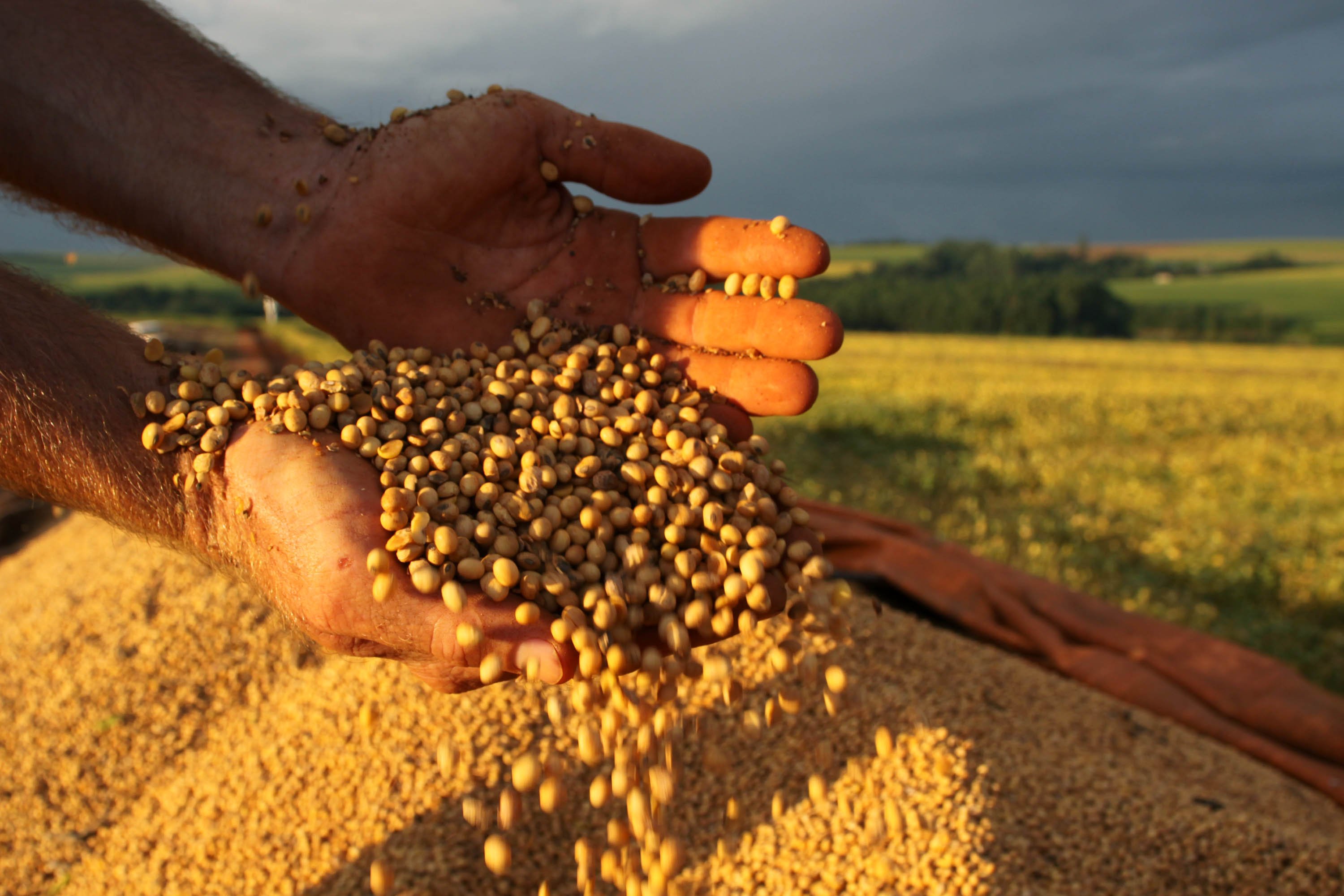 Ideia é evitar que discussões sobre a preservação da Amazônia afetem a exportação dos produtos brasileiros