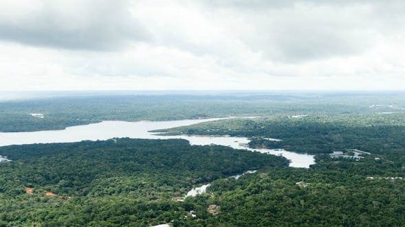 Quem conhece a Amazônia?