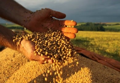 Desenvolvimento científico para a produção de alimentos e para combater a fome. Uma das vertentes previstas para ciência e tecnologia. Foto: EBC