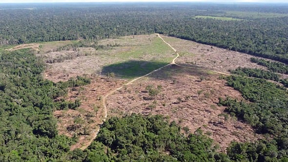 Desmatamento na Amazônia [fotografo]Reprodução[/fotografo]