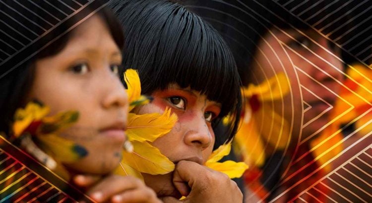 Dos membros da comissão externa para investigar a crise humanitária Yanomami, apenas uma parlamentar destinou emendas específicas aos povos indígenas. Foto: Reprodução