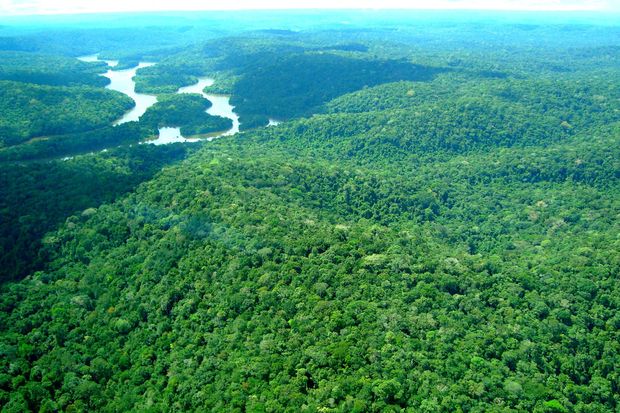 Uma tributação que ajude a promover desenvolvimento sustentável. É o que se deseja. Foto; Agência Pará