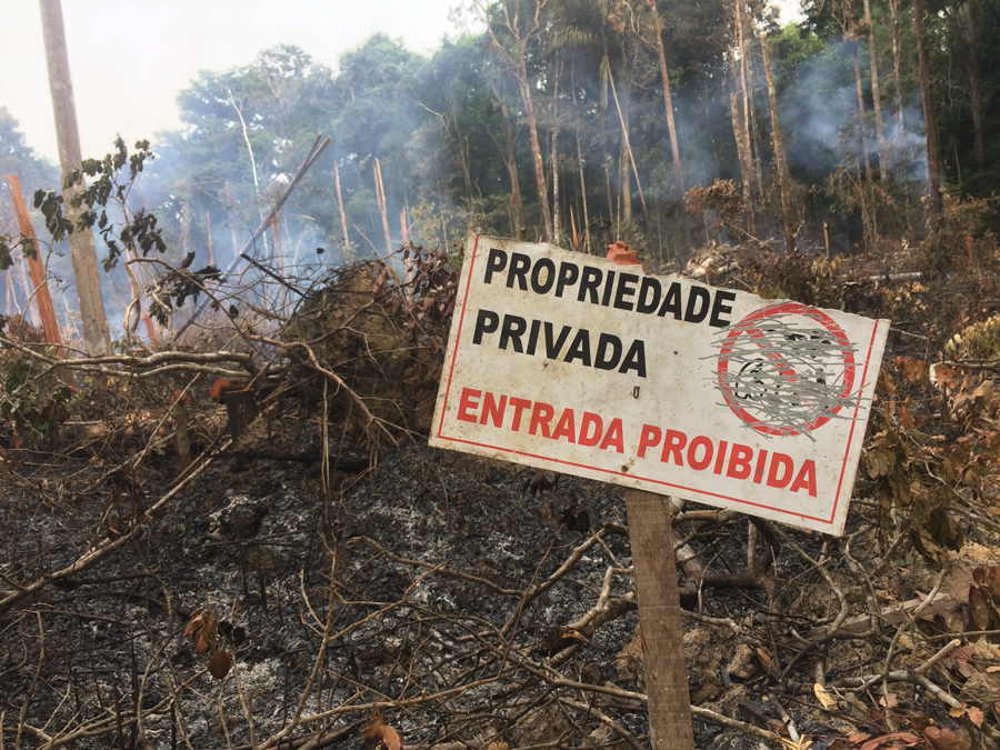 Área de reserva legal desmatada ilegalmente em terras vizinhas ao PDS Virola-Jatobá