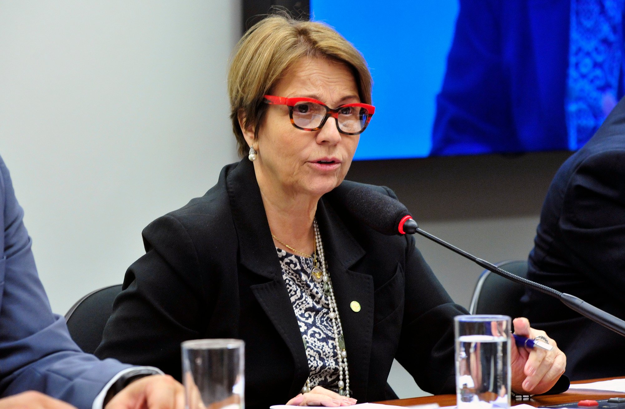 Tereza Cristina, que já foi deputada, deve retornar para votar em Arthur Lira [fotografo]Luis Macedo/Câmara dos Deputados[/fotografo]