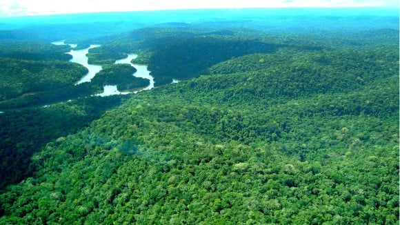 Avançar em direção a uma economia mais positiva para o meio ambiente em áreas como agricultura regenerativa, economia florestal, meio ambiente e design de infraestrutura e circularidade de recursos pode adicionar US$ 10,1 trilhões em oportunidades de negócios e criar 400 milhões de empregos globalmente até 2030. Foto: Divulgação/Ideflorbio (Pará)