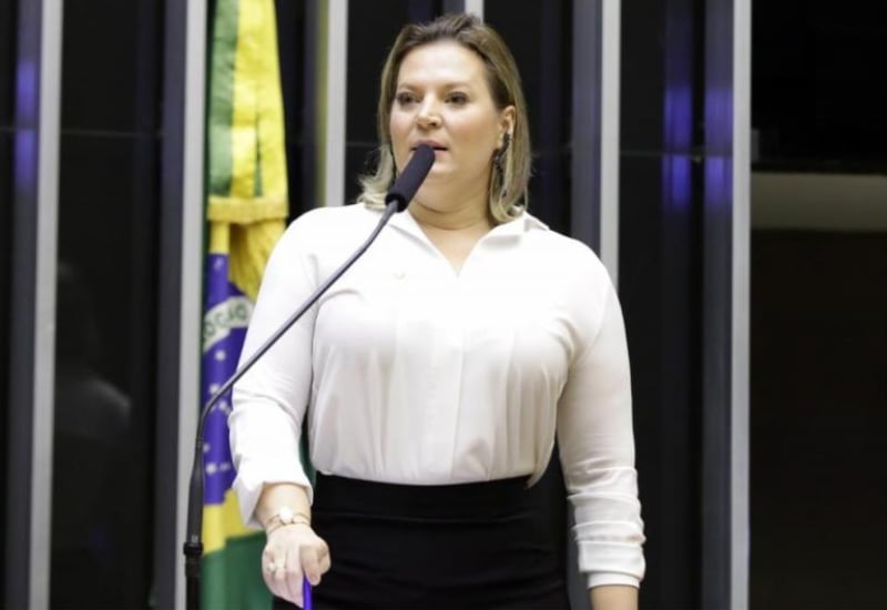 Joice disse que iria desmascarar quem está tentando dividir para governar[fotografo]Najara Araujo / Câmara dos Deputados[/fotografo]