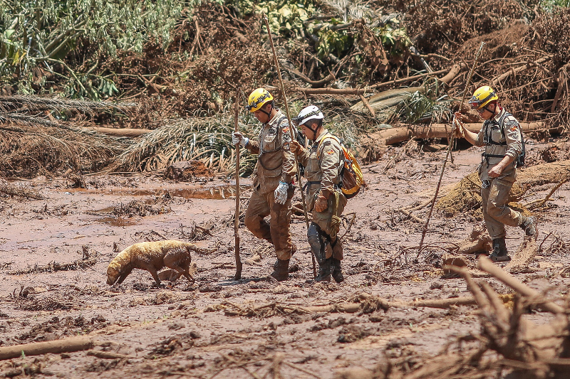 Do caos à lama: bombeiros contam com a ajuda de cães para localizar corpos ainda desaparecidos fotografo]Ricardo Stuckert[/fotografo]