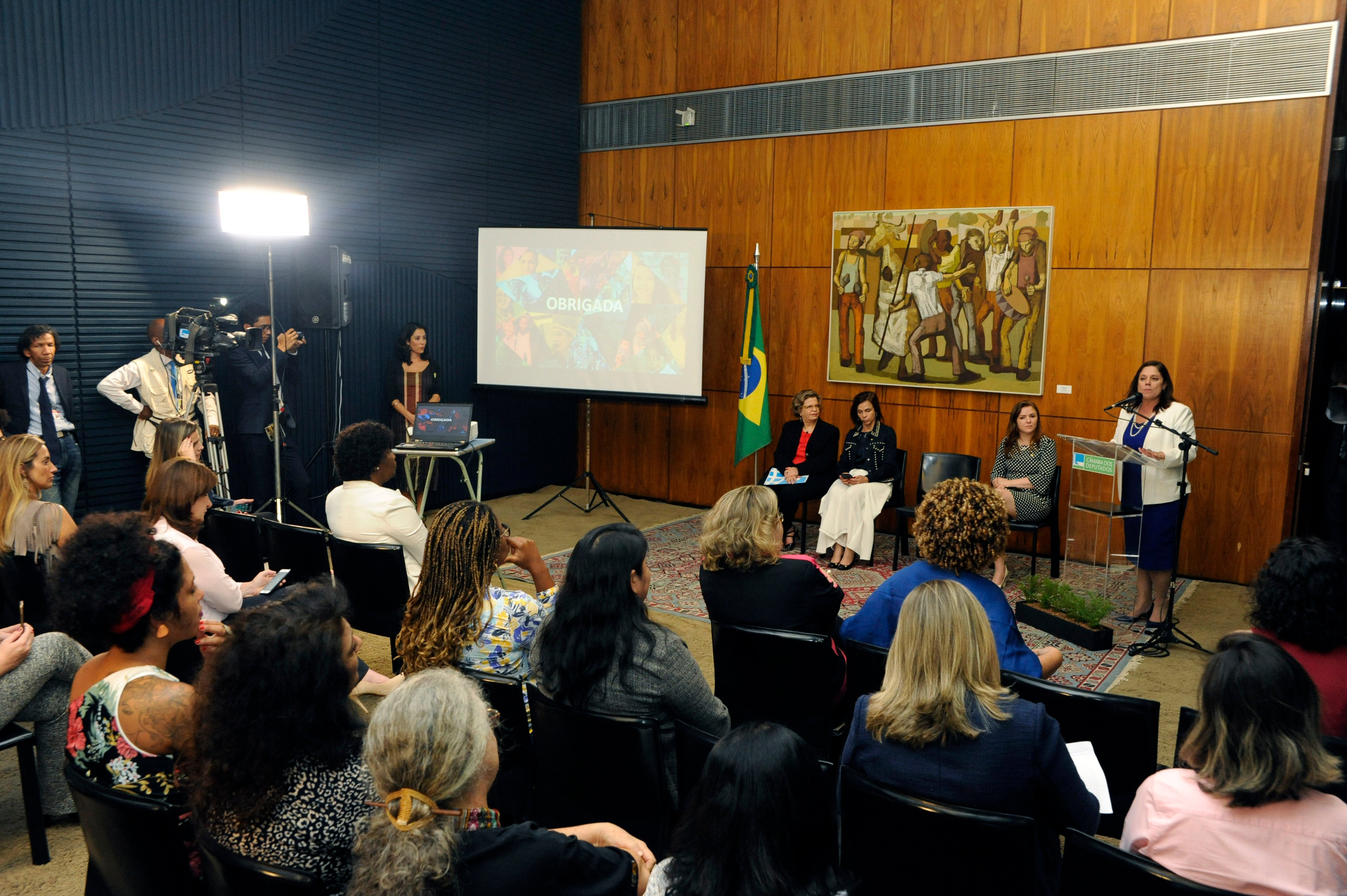 Bancada feminina na Câmara, recebe representante da ONU, em fevereiro[fotografo]Luis Macedo / Câmara[/fotografo]