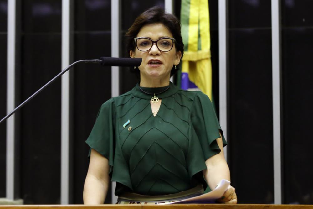 Deputada Alê Silva durante comissão geral no Plenário da Câmara, que debateu o rompimento da barragem em Brumadinho, MG - Najara Araújo/ Câmara dos Deputados