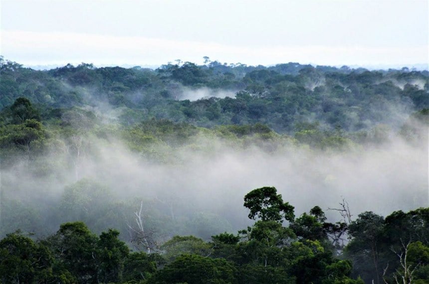 Governo promete reduzir emissões em 50% até 2030 [fotografo]Valter Calheiros/Museu da Amazônia[/fotografo]