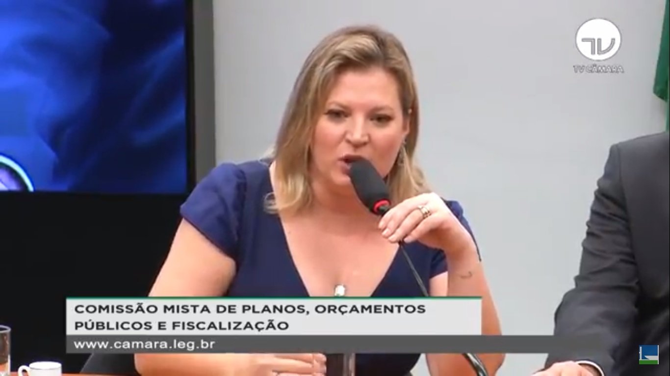 Líder do governo no Congresso, Joice Hasselmann (PSL-SP), fala sobre o projeto[fotografo]TV Câmara[/fotografo]