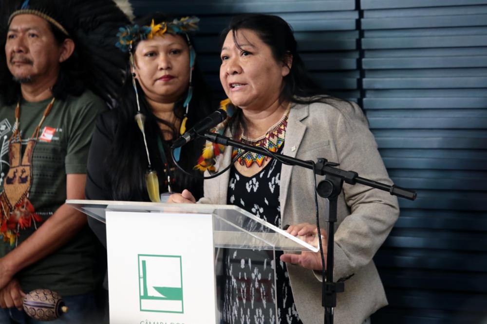 Primeira mulher indígena eleita para a Câmara, Joênia Wapichana [fotografo]Plínio Xavier/Ag. Câmara[/fotografo]