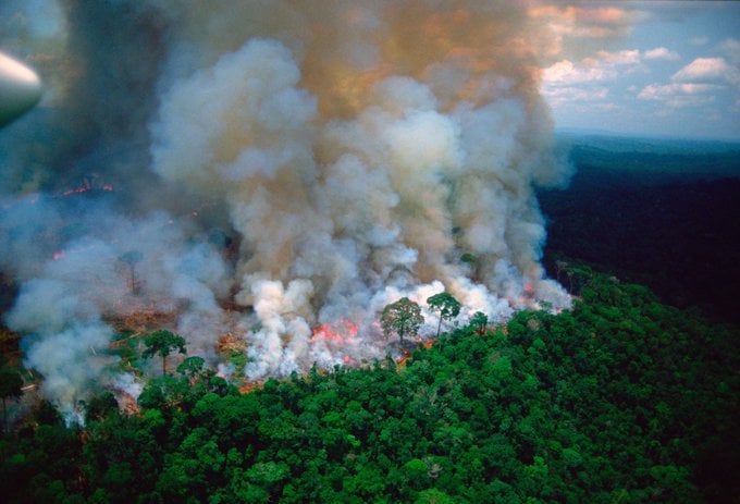 Queimada na floresta Amazônica. Foto: reprodução