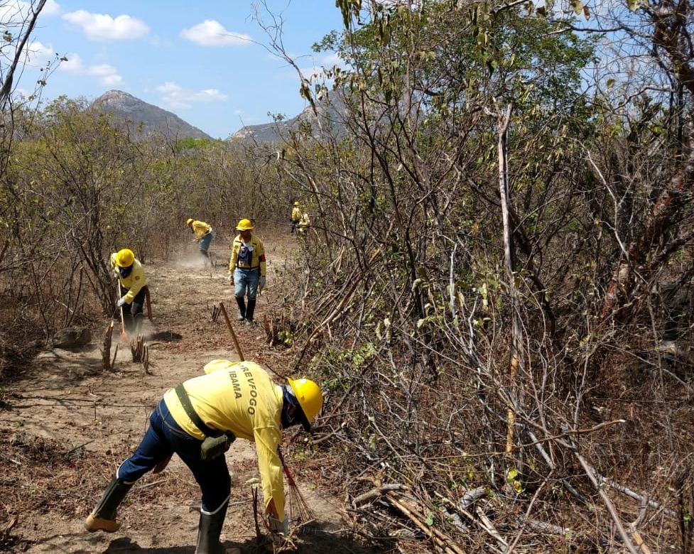 Equipe de combate ao fogo da Funai. foto: Cícero Sousa / Funai 