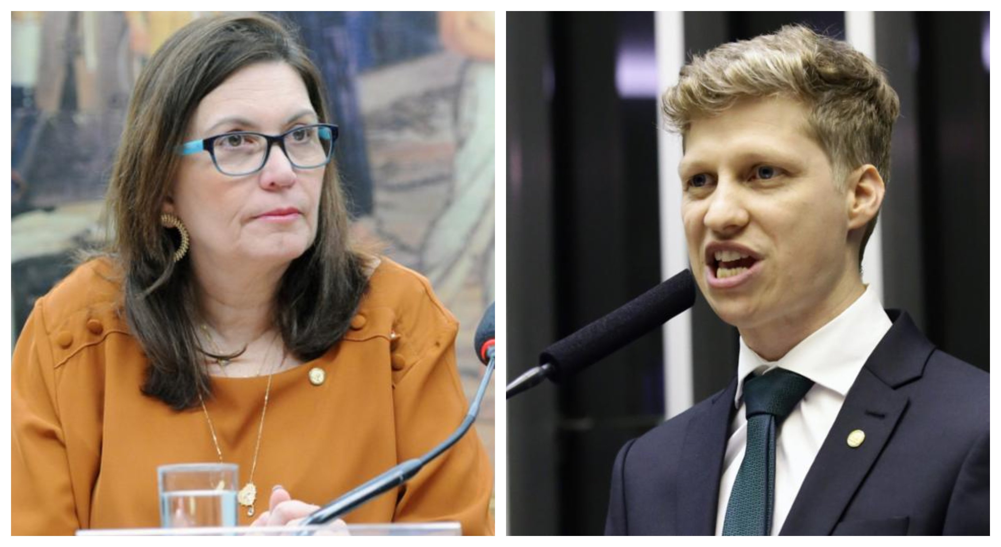 Bia Kicis e Marcel Van Hattem são os dois mais votados na categoria 