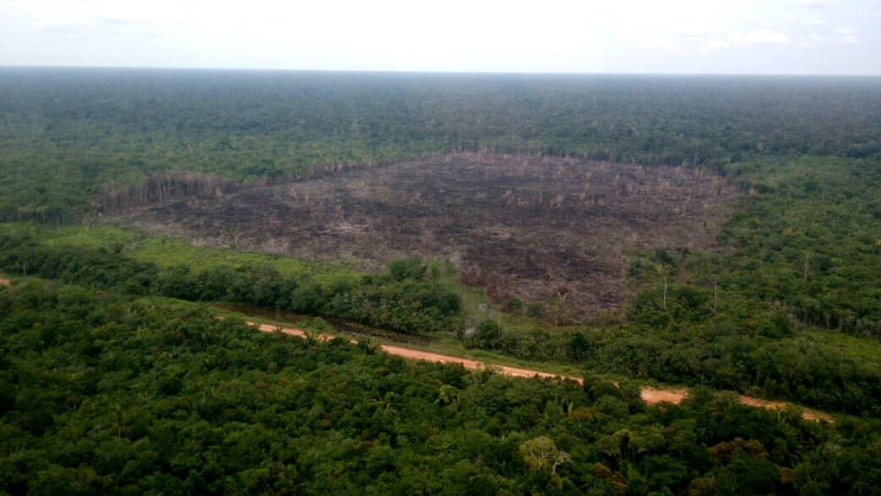 Programas orçamentários de interesse do Ministério do Meio Ambiente receberam emendas de apenas 27 deputados e quatro senadores. Foto: Ibama/Divulgação