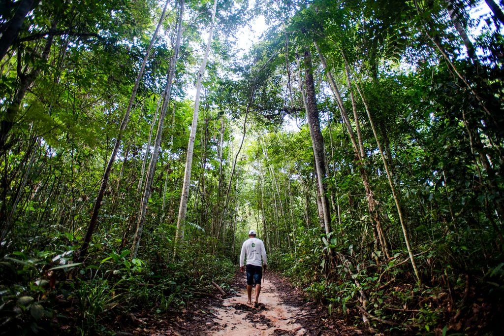 Juruena, MT, Brasil: Antônio Bento de Oliveira caminha em busca de castanheiras por área da reserva legal comunitária do assentamento Vale do Amanhecer.  (Foto: Marcelo Camargo/Agência Brasil)