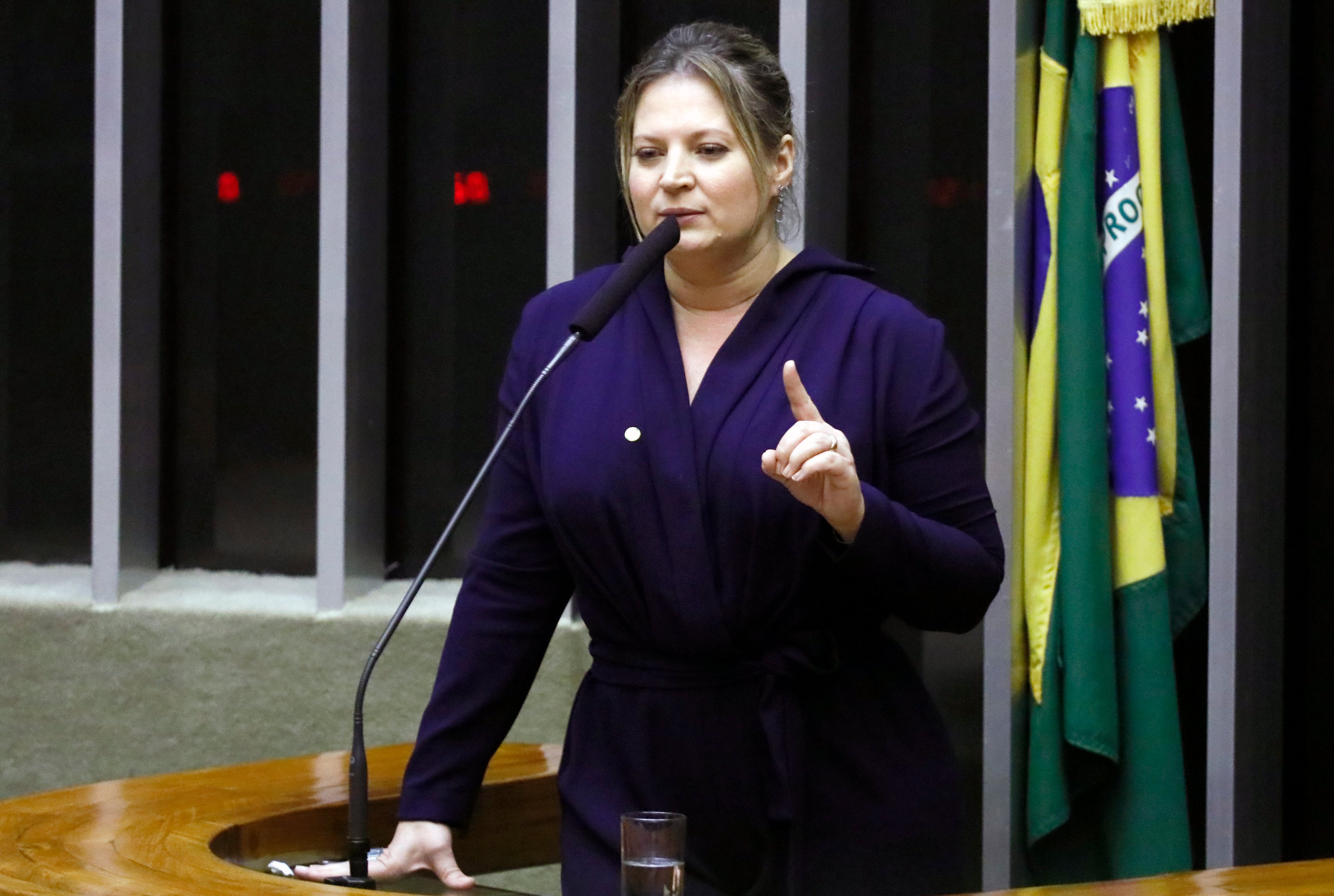 Joice Hasselmann foi convidada pela CPI das Fake News [Luis Macedo / Câmara dos Deputados]