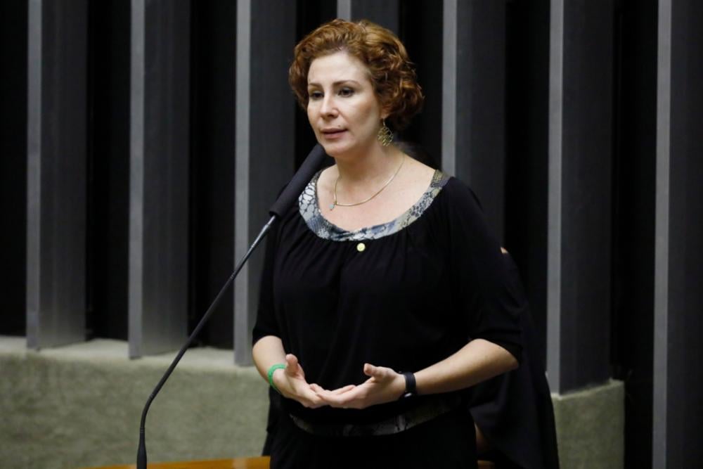 À pedido dos relatores, os processos de Nikolas Ferreira e Carla Zambelli foram arquivados pelo Conselho de Ética da Câmara. Foto: Luis Macedo/Câmara dos Deputados