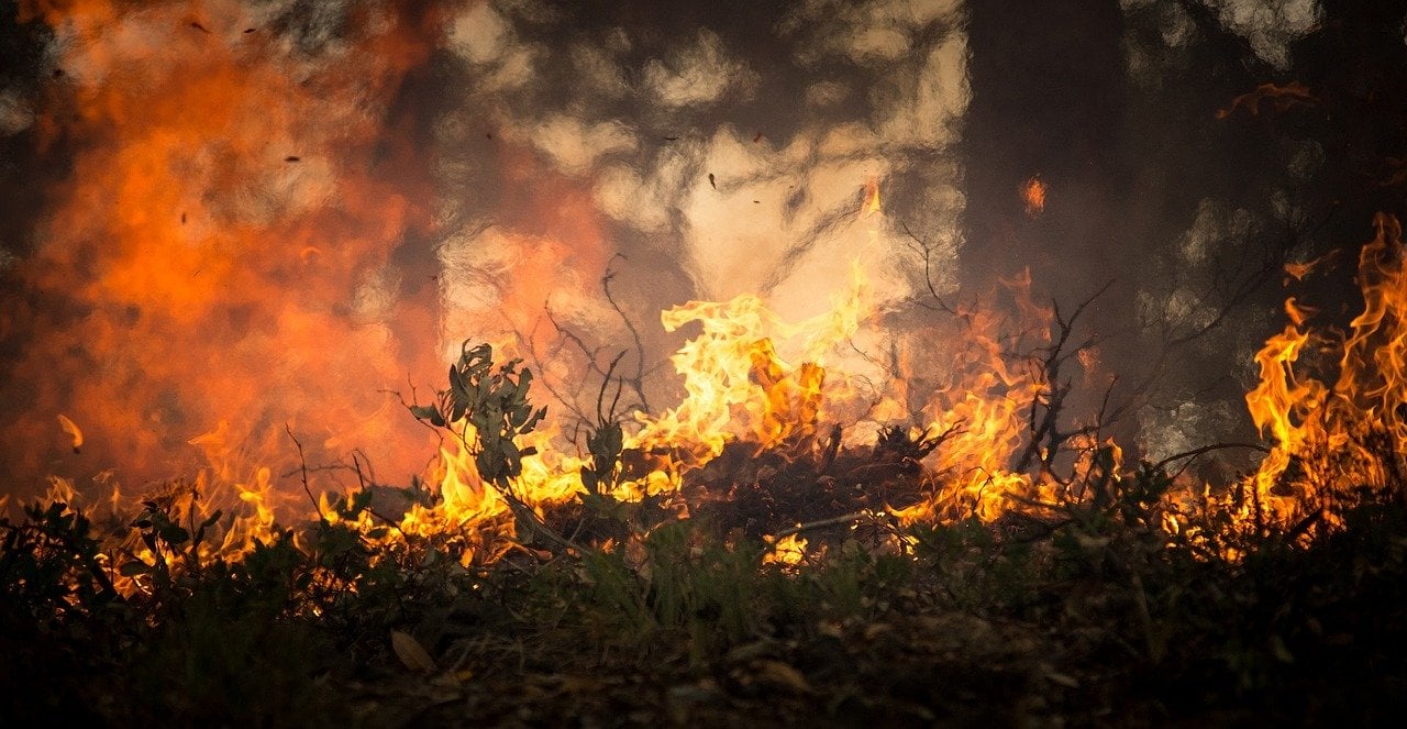 AGU e Ibama apresentaram cinco ações civis contra responsáveis por queimadas na Amazônia. Todas foram em municípios líderes em desmatamento. Foto: Pixabay