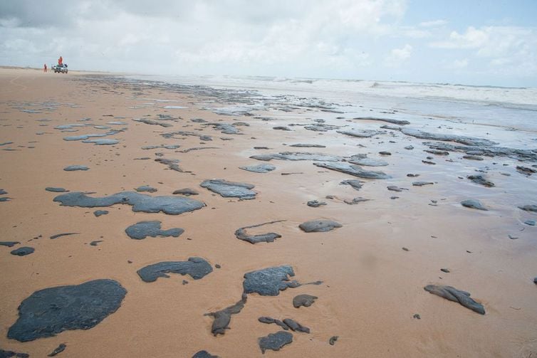 Ainda em setembro, manchas de óleo invadiram as praias do litoral nordestino e chegaram até o Sudeste. Ainda não se sabe a origem da substância que poluiu a costa brasileira. Até uma Comissão Parlamentar de Inquérito (CPI) foi instaurada para investigar o derramamento de óleo.
[fotografo]EBC[/fotografo]