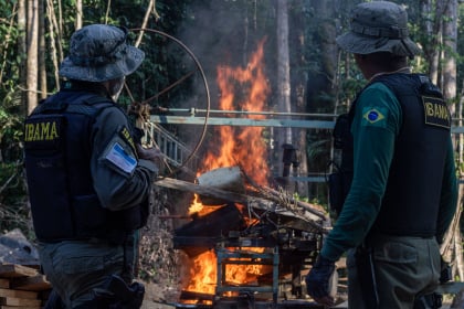 Foto: fiscalização do Ibama / Ibama