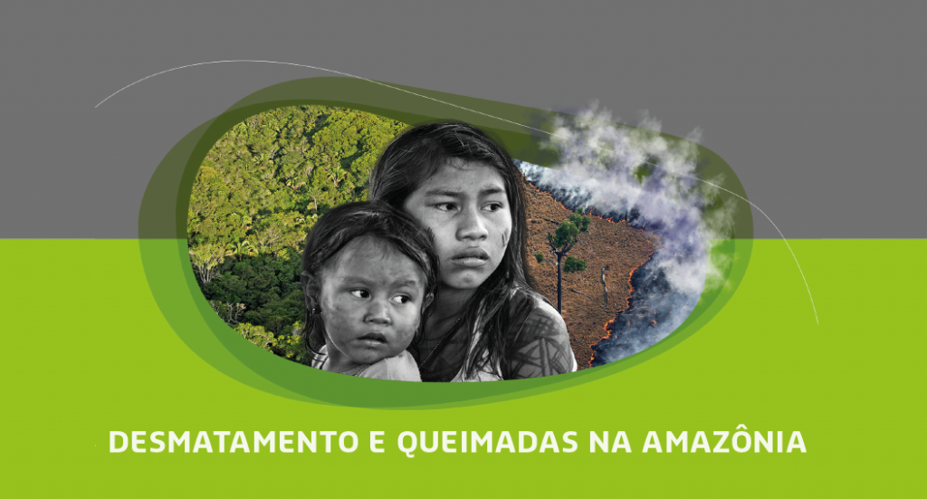 Sociedade civil apresenta declaração pela Amazônia na COP 25 [fotografo]Reprodução/Inesc[/fotografo]