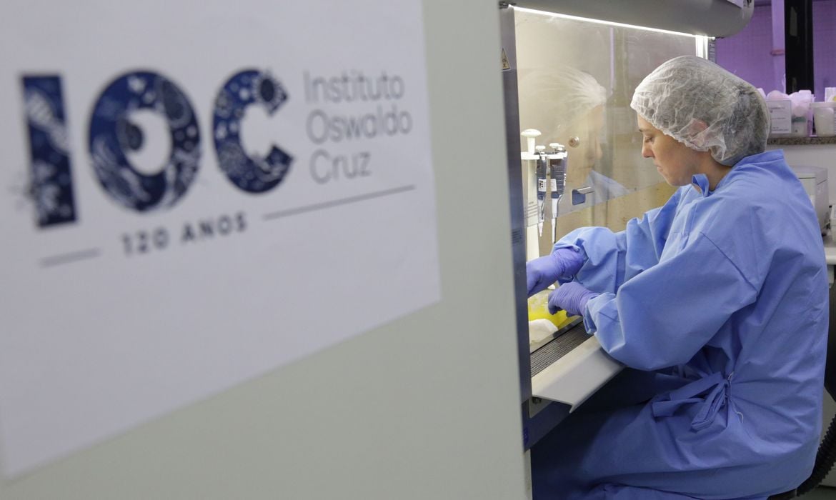 Laboratório de Vírus Respiratório e do Sarampo do Instituto Oswaldo Cruz. Foto: [Josué Damacena/IOC Fiocruz]