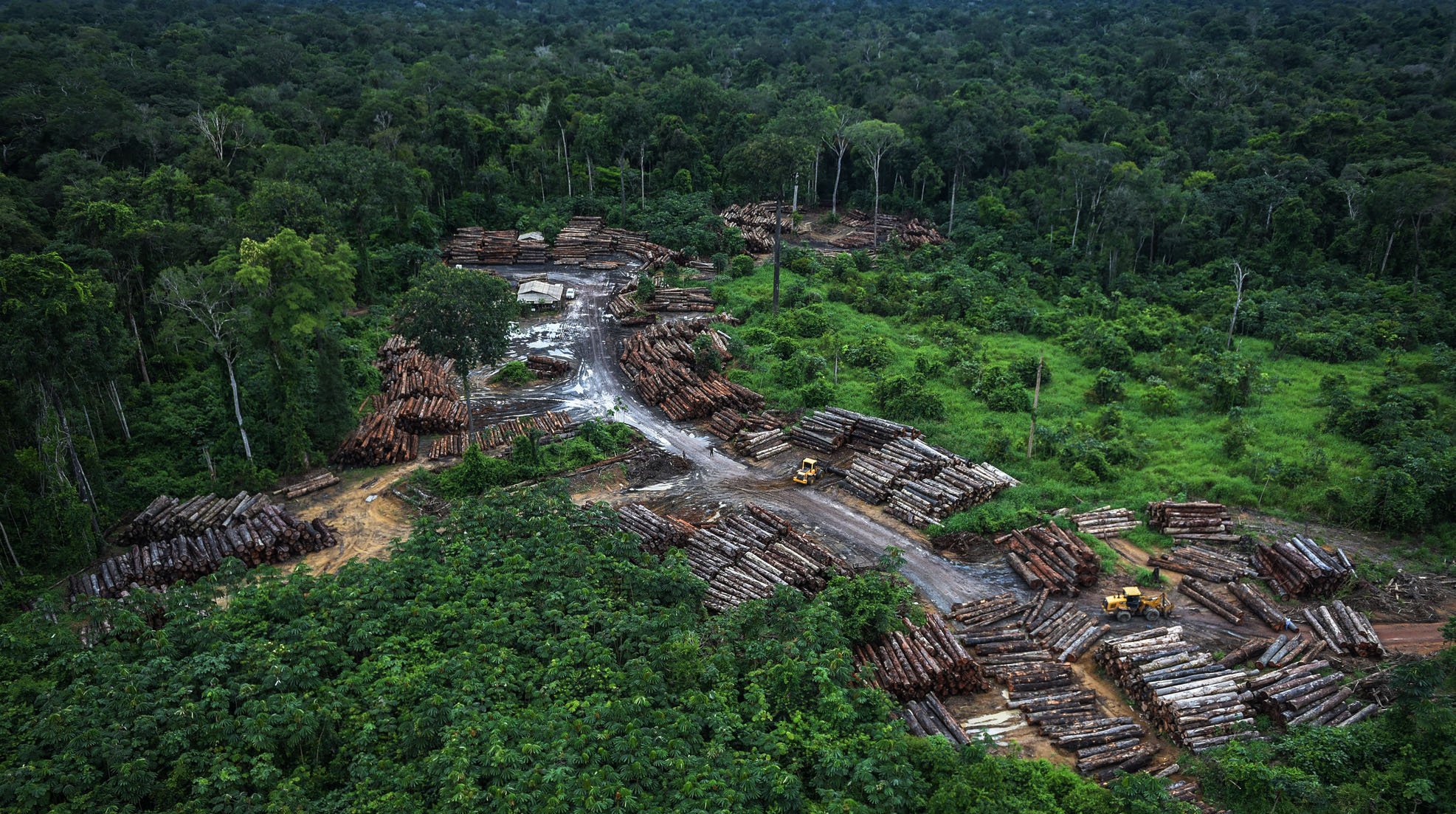 Área de floresta desmatada [fotografo] Divulgação/Ibama [/fotografo]