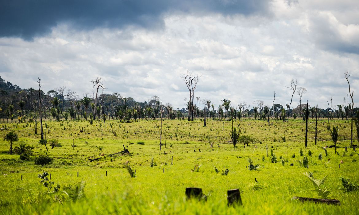 Área degradada no município de Colniza, noroeste do MT. [fotografo] Marcelo Camargo/ Agência Brasil [/fotografo]