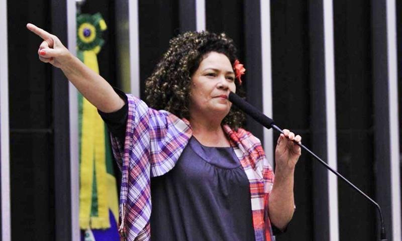 Perpétua: fascismo só se combate com união. Foto: Agência Câmara