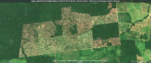 Desmatamento de 1.500 hectares ocorrido no município de Lábrea - AM, com alerta do DETER/INPE ocorrido durante a GLO.
