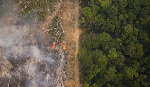 Completados 100 dias do governo Lula, órgãos de fiscalização ambiental voltaram a funcionar, mas enfrentando antigos desafios. Foto: Daniel Belta / Greenpeace