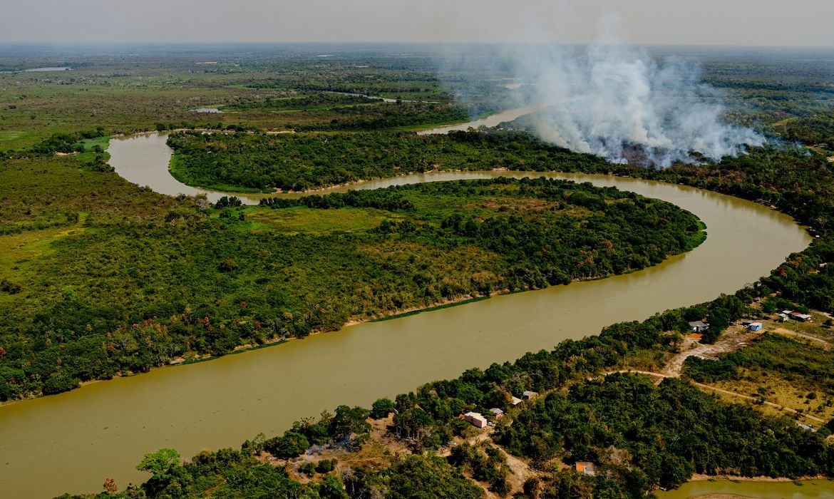 Lei estadual sancionada pelo governo estadual permite a pecuária na Bacia do Alto Paraguai, área protegida para conservação do pantanal. Foto: Mayke Toscano/Secom-MT