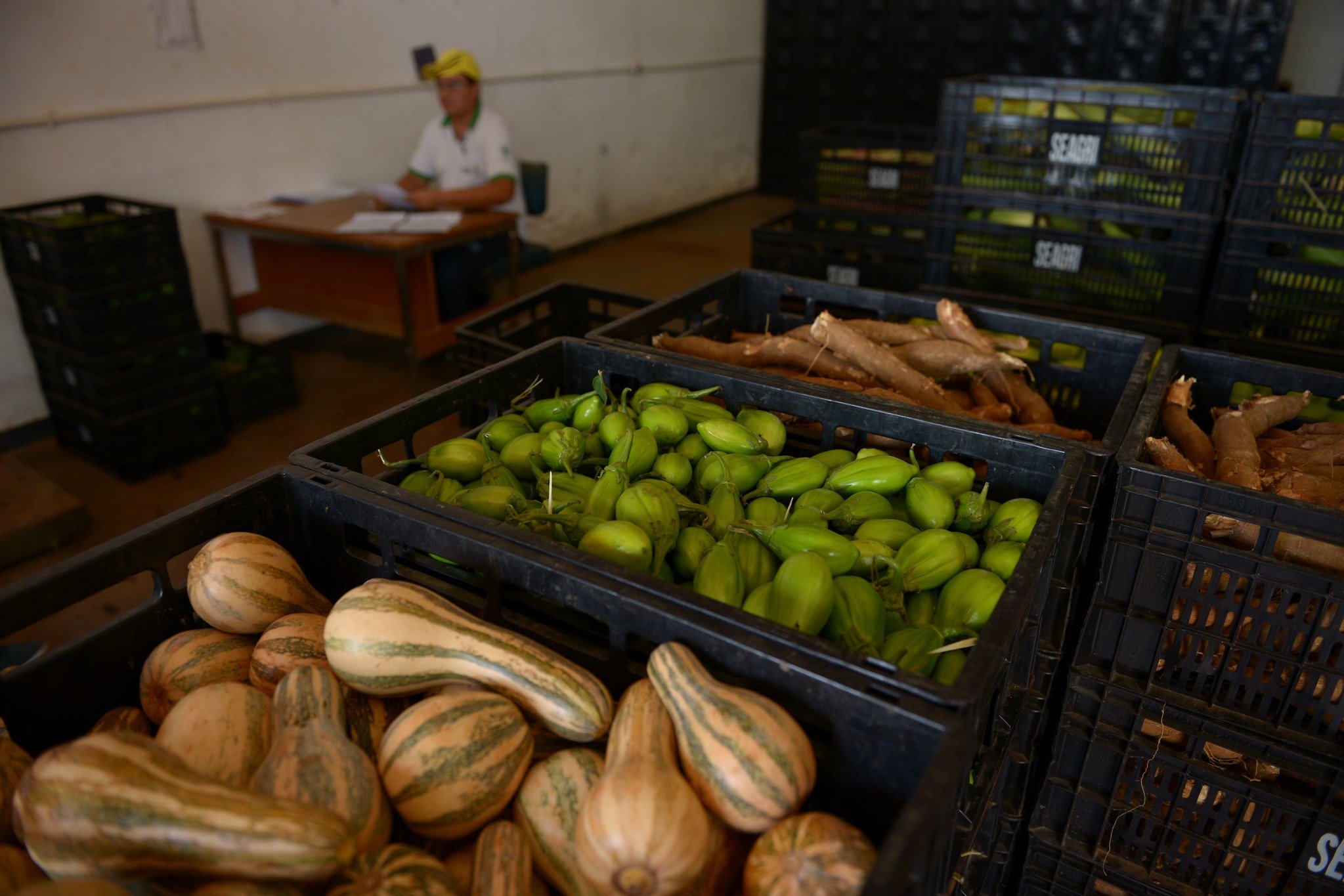 Em entrevista à Globo News, Paulo Teixeira afirmou que governo tentará estratégia multisetorial para lidar com preço dos alimentos. Foto: Pedro França/Agência Senado