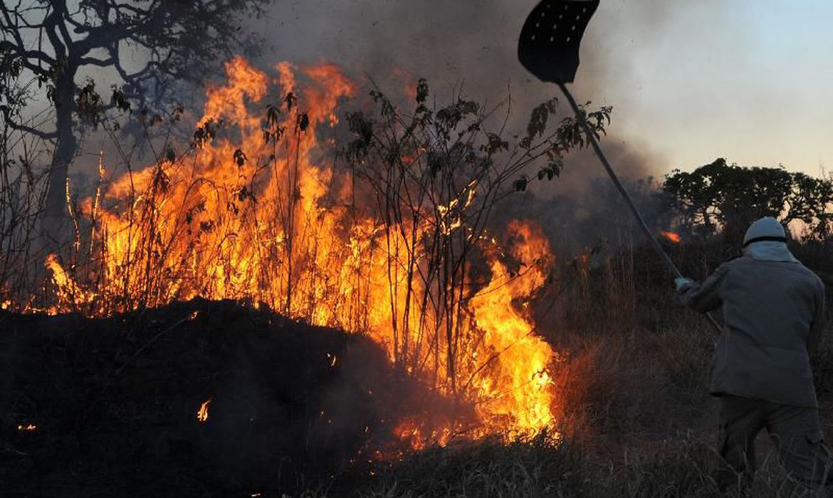 Buscando a reeleição em São Félix do Xingu, o prefeito João Cléber já foi multado pelo Ibama em mais de R$ 7,5 milhões. Foto: Valter Campanato/Agência Brasil