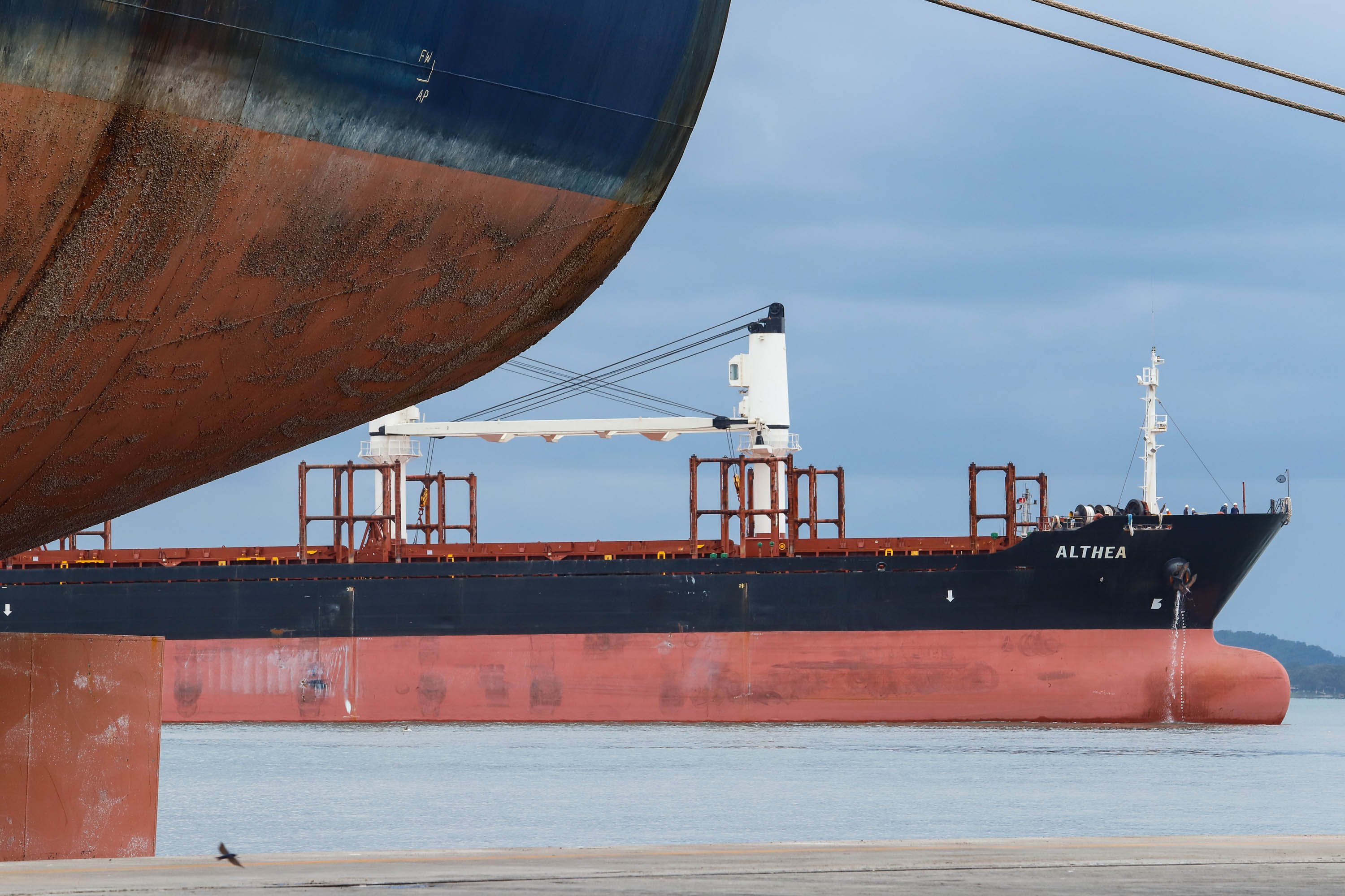 Navio atracado no Porto de Paranaguá (PR) [fotografo] AnPR [/fotografo]