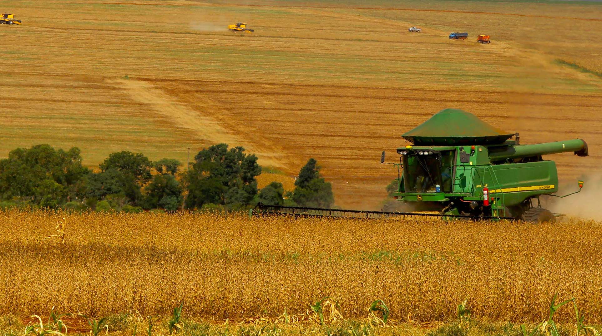 O PL do Autocontrole mais parece o PL da falta de controle na produção agrícola. Foto: Jaelson Lucas/AEN 