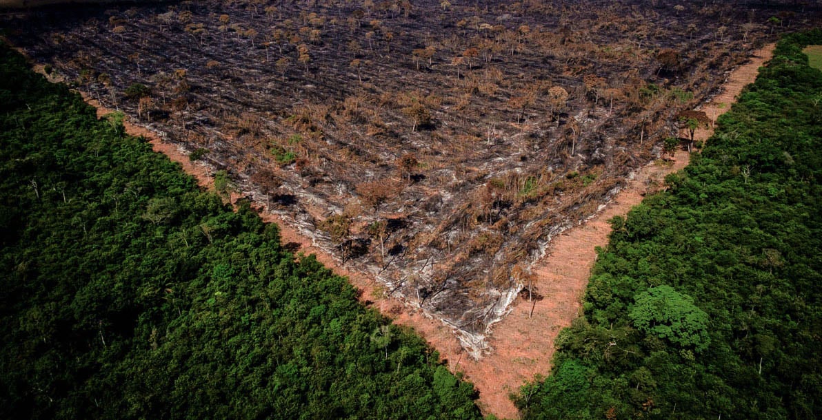 Área desmatada. Licenciamento ambiental pede socorro. Foto: Ibama