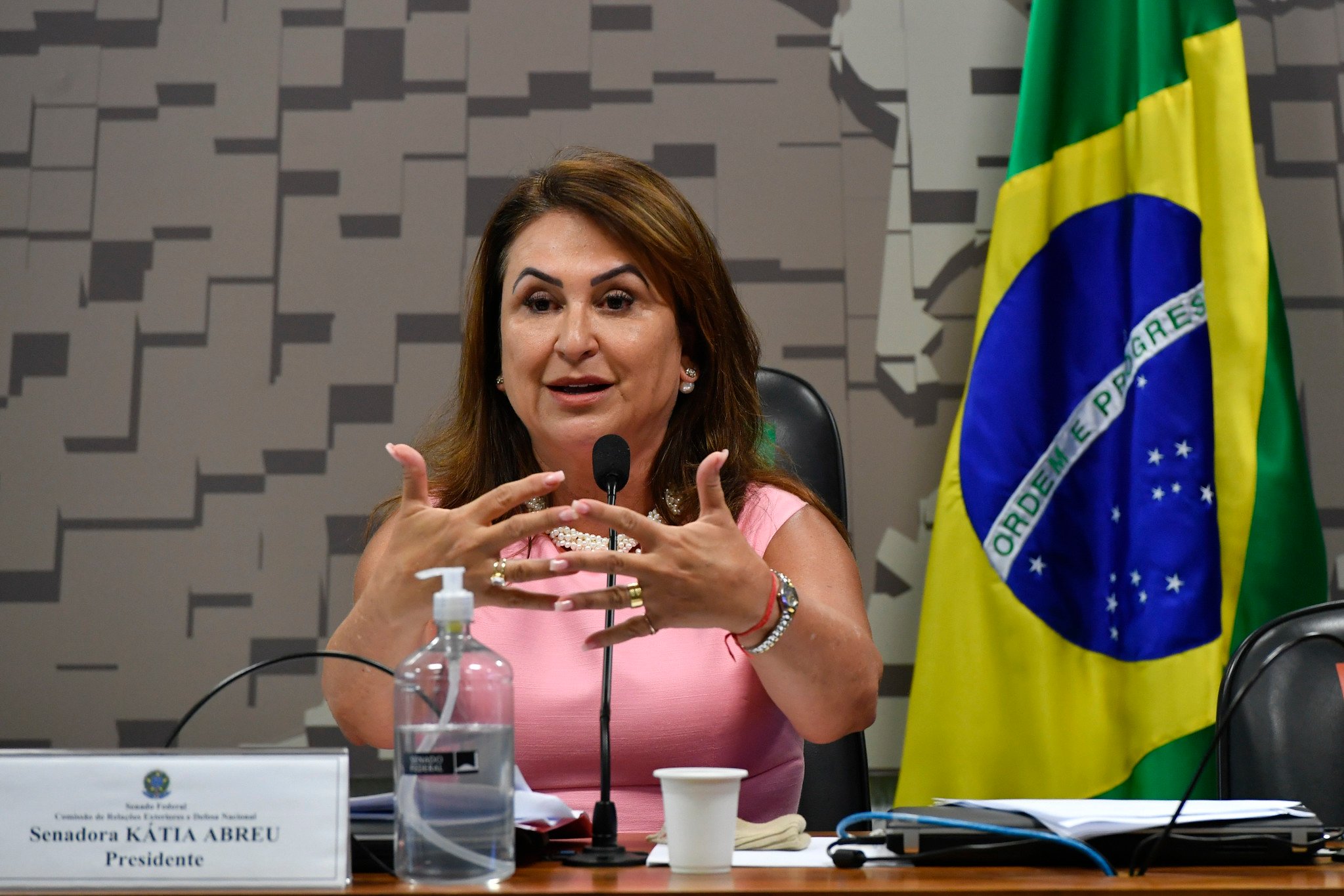 Kátia Abreu pode vir a ocupar uma embaixada no exteriior. Foto: Leopoldo Silva/Agência Senado