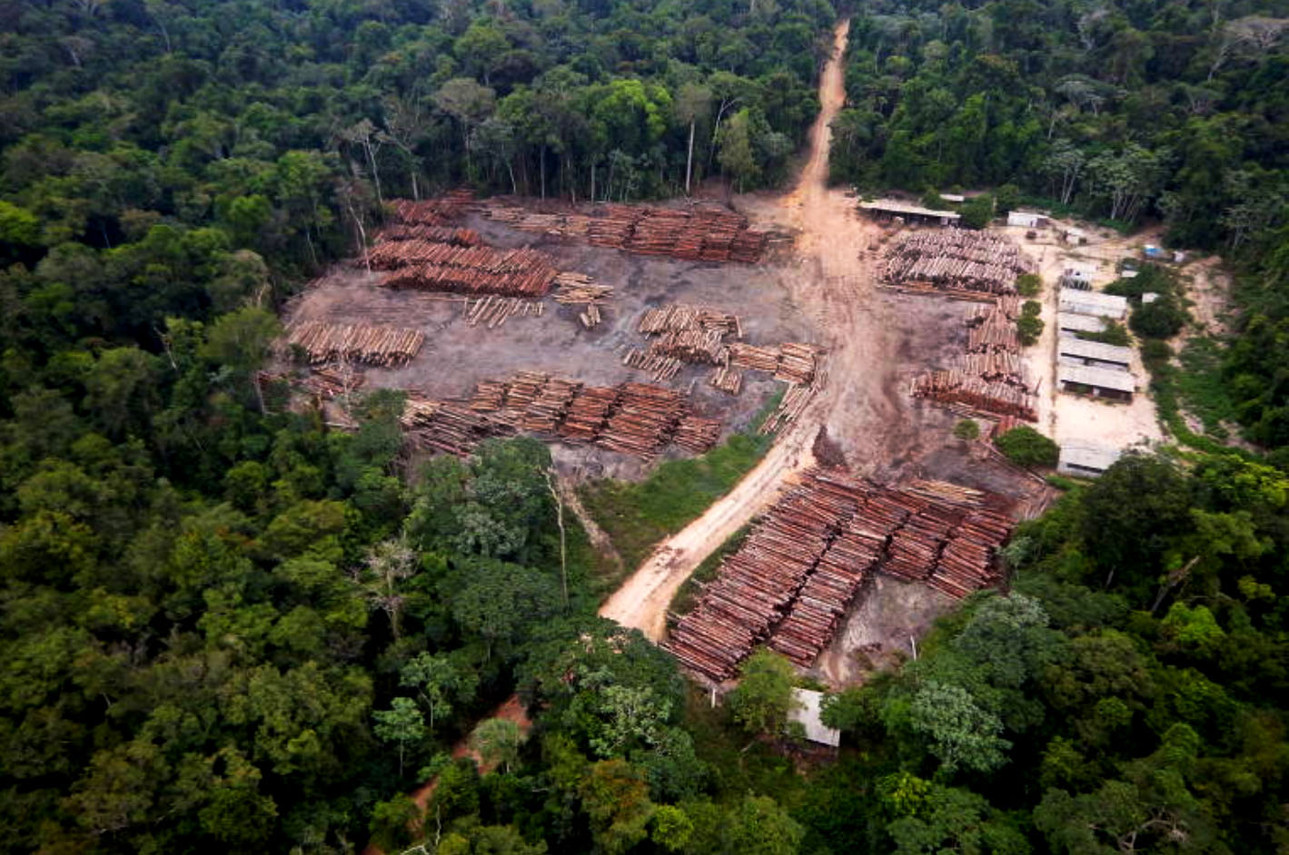 Levantamento revela que candidatos à reeleição na Câmara dos Deputados tiveram votos majoritariamente contrários à pauta ambiental.[fotografo]Polícia Federal/[fotografo]