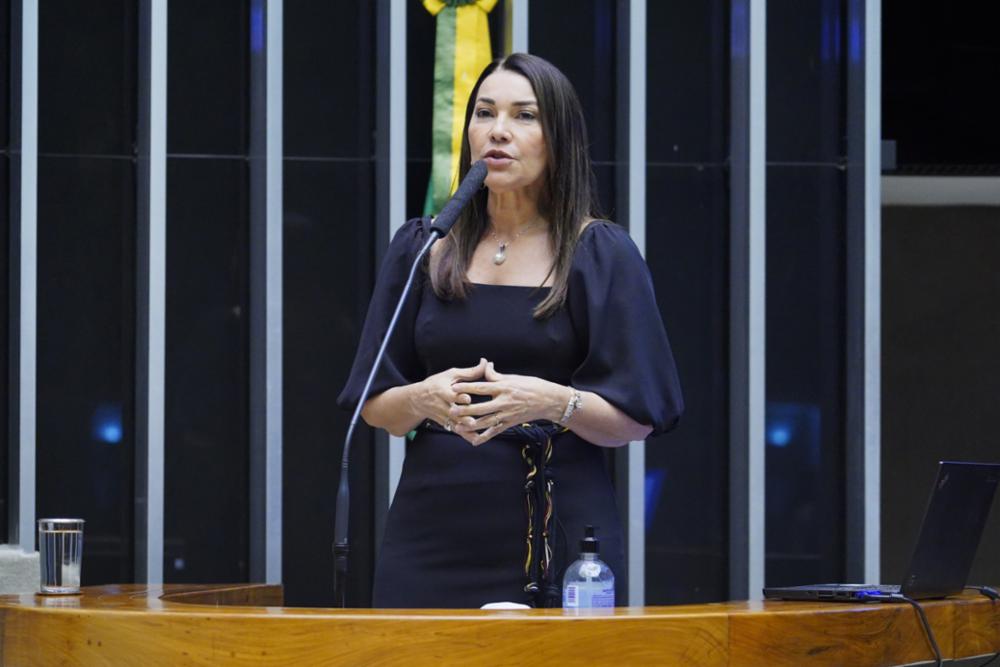 A relatora, deputada Margarete Coelho (PP-PI)[fotografo]Pablo Valadares/Câmara dos Deputados[/fotografo]