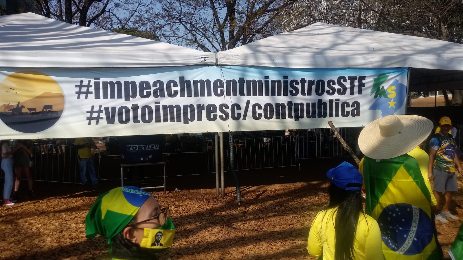 Impeachment de ministros do STF e voto impresso estão entre as bandeiras levantadas pelos apoiadores de Bolsonaro[fotografo]Tiago Rodrigues[/fotografo]