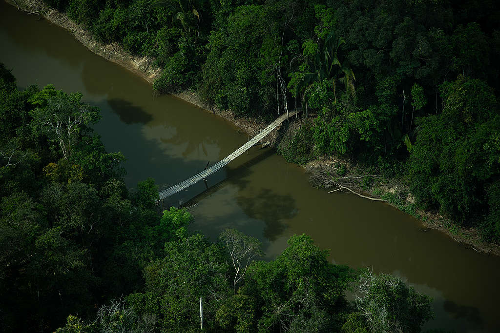 A região da Terra Indígena do rio Formoso registrou 65% do desmatamento no último ano
Foto:Christian Braga/Greenpeace