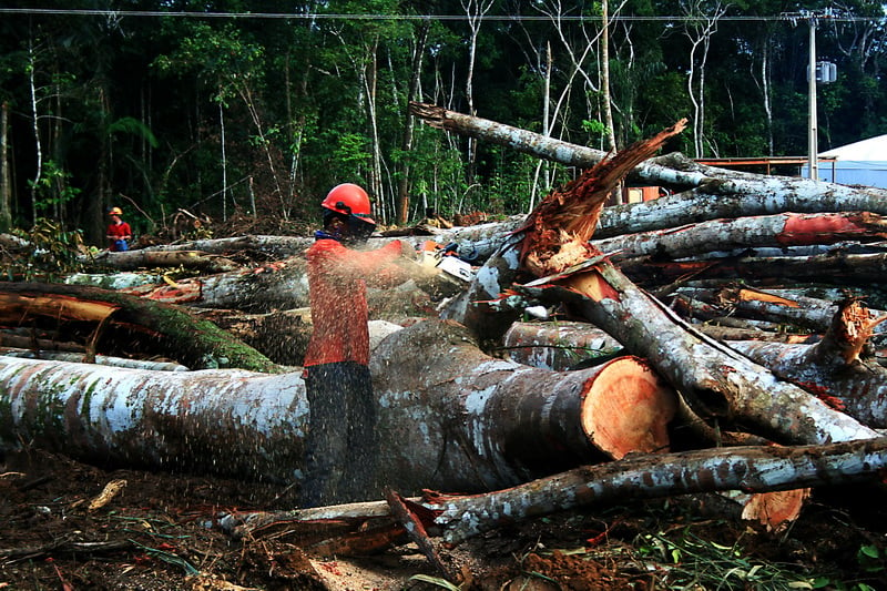 Corte de árvores na área da UHE Santo Antônio em 2009. Foto: Eduardo Santos via Flickr