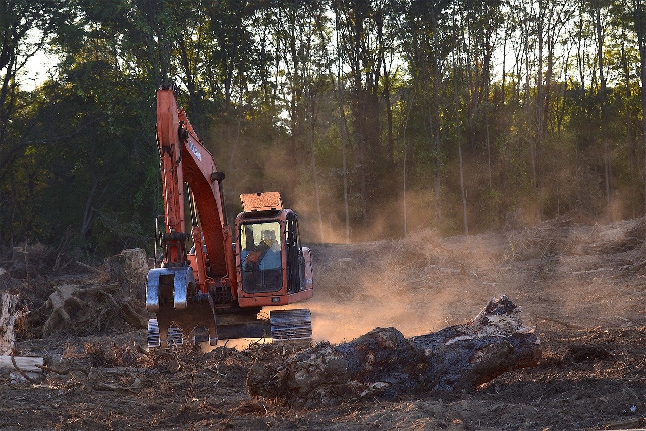 Em meio à crise humanitária do povo Yanomami, deputados buscam dar andamento a projetos de mineração na Amazônia no Legislativo e no Executivo. Foto: Pixabay